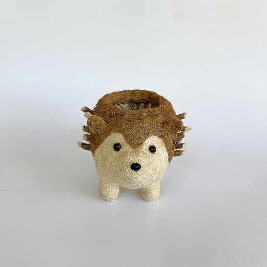 Hedgehog